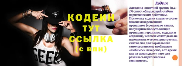 прущие грибы Арсеньев
