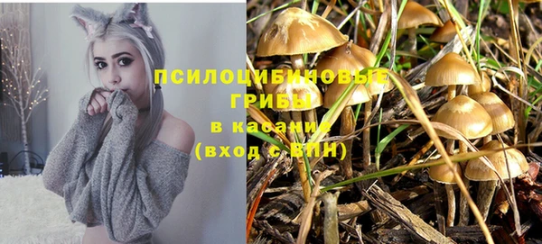 прущие грибы Арсеньев