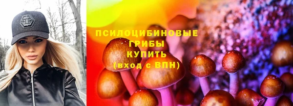прущие грибы Арсеньев